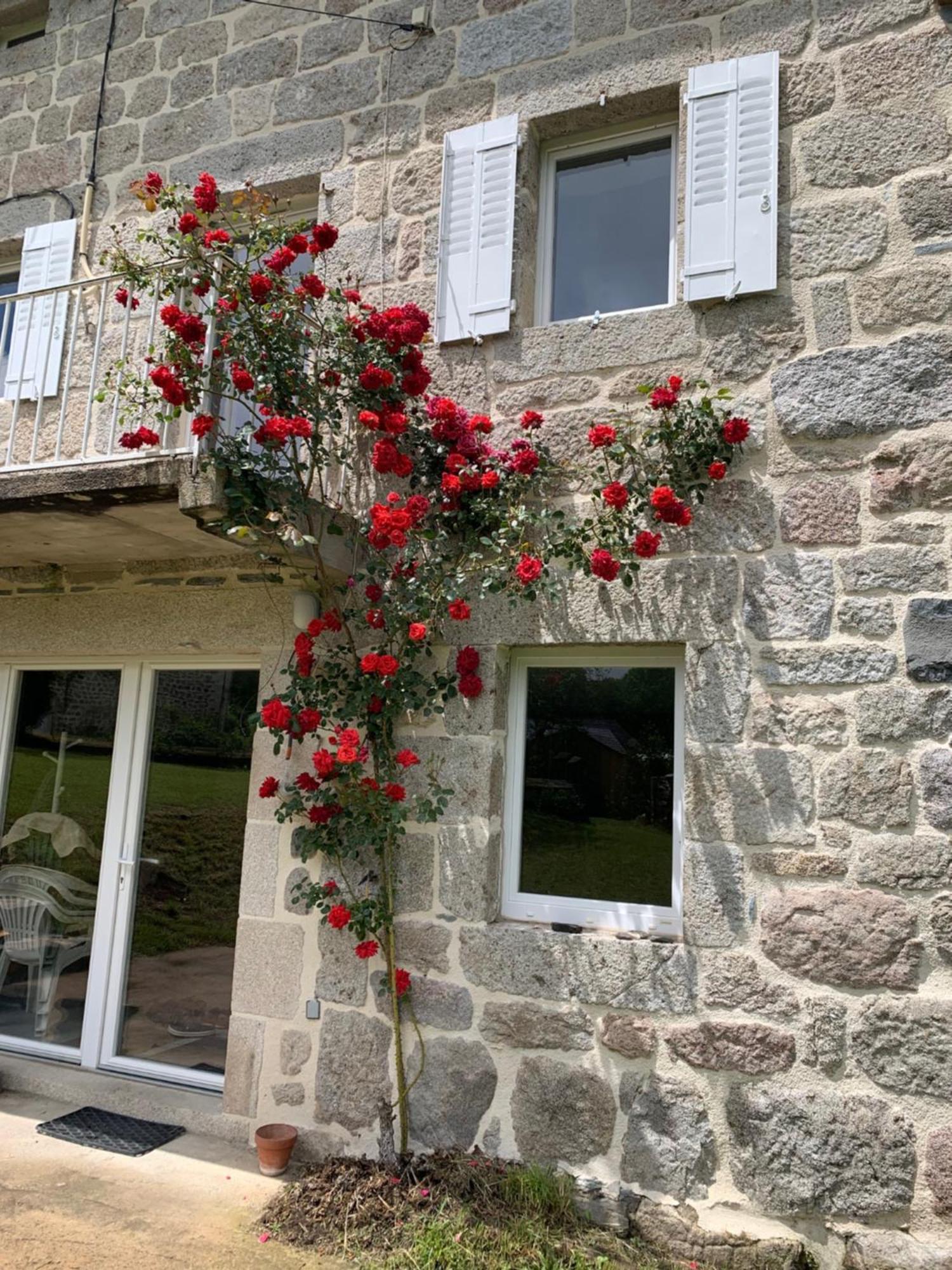 Ferme Au Calme A 15Mn Du Chambon Sur Lignon Villa Saint-Jeures Exterior photo